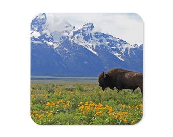 Grand Teton Bison Coaster, Wildlife Mountain Nature Drink Coaster, Rustic Cabin Decor