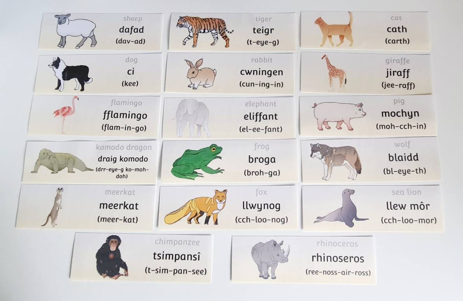 Welsh Animal Flashcards Welsh Resource Learning Resources Etsy