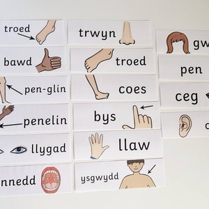 Welsh Parts Of The Body Flashcards, Welsh Resource, Learning Resources, Learn Welsh, Welsh language, Learning, Flashcards, Learning Aid