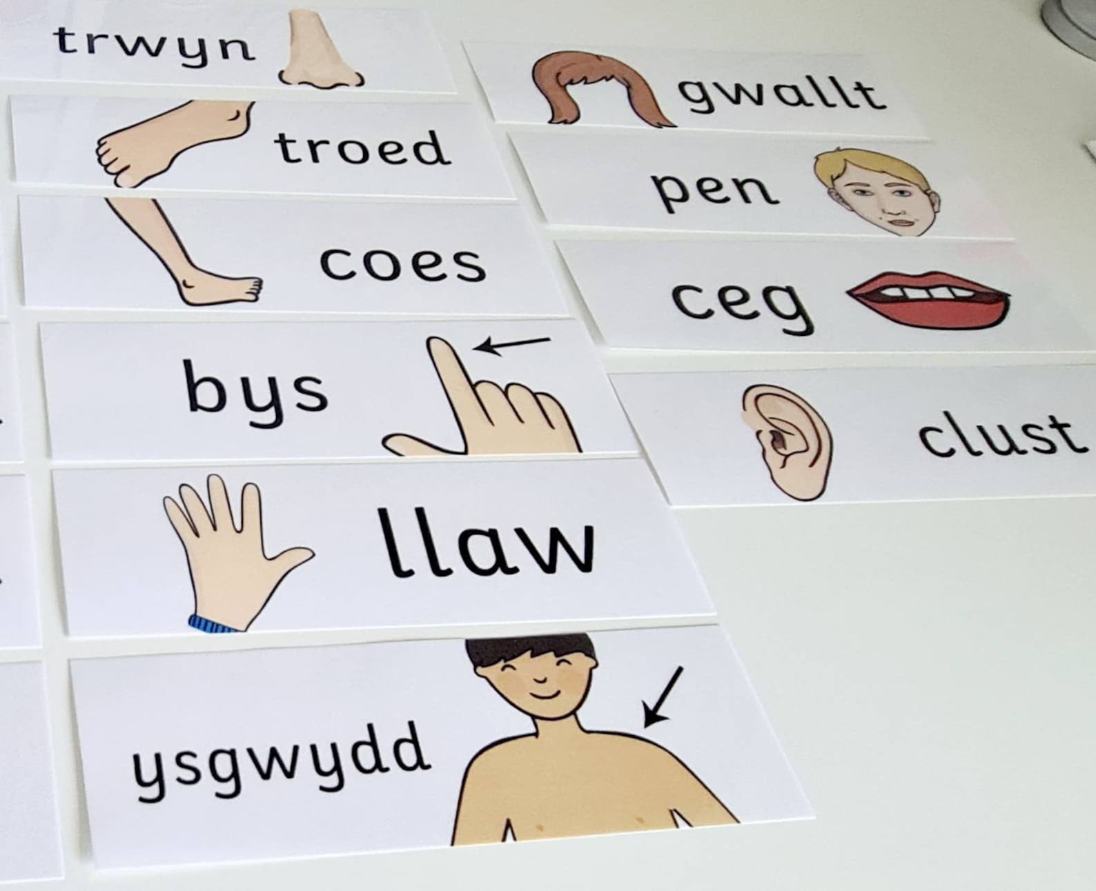 Welsh Parts of the Body Flashcards, Welsh Resource, Learning Resources, Learn Welsh, Welsh