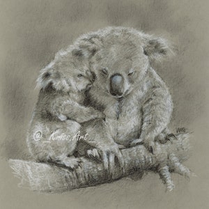 Koala mamma e cucciolo, disegno originale, matita e pastello su carta grigia