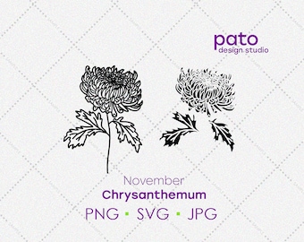 Może przedstawiać: Czarno-biała ilustracja liniowa dwóch kwiatów chryzantemy. Kwiaty są stylizowane i mają prosty, elegancki design. Tekst "November Chrysanthemum PNG - SVG - JPG" znajduje się pod kwiatami.