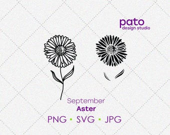 Może przedstawiać: Czarno-biała ilustracja liniowa dwóch kwiatów astrów. Kwiaty są stylizowane i mają prosty design. Tekst "September Aster" i "PNG - SVG - JPG" znajduje się pod kwiatami.