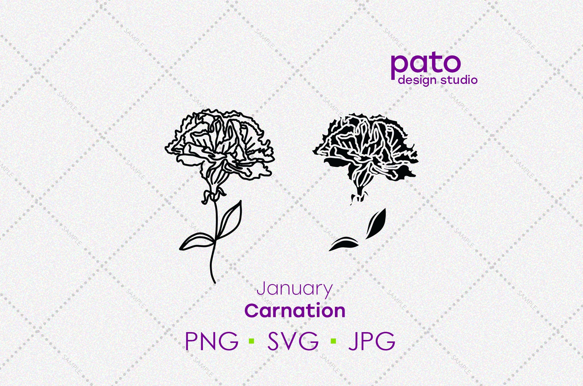 Carnation january birth month flower art Vector Image