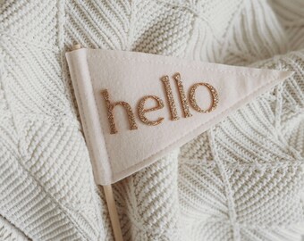 Hello World Pennant | Rose Gold Glitter, Nude Felt Baby Announcement