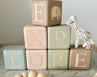 Limited Edition Explore Blocks