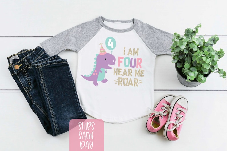May include: A white and gray long-sleeved shirt with a purple dinosaur wearing a party hat and the text "I am four hear me roar".