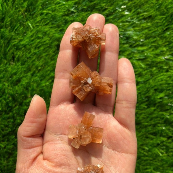 Aragonite Star Clusters from Morocco (1-1.25") | Root Chakra | Crystal for Grounding