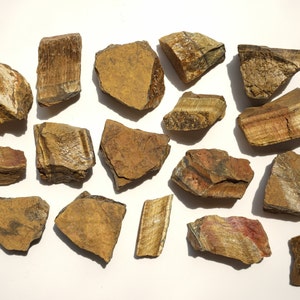 May include: A collection of 15 raw tiger's eye stones in various shapes and sizes. The stones are a mix of brown, gold, and red hues.
