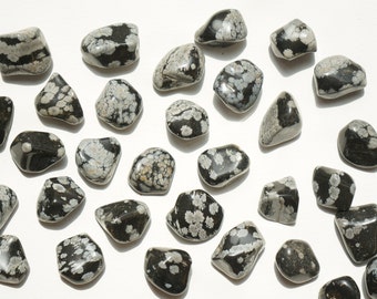 Snowflake Obsidian Tumbled Stones (0.75-1.50”) | Protective Crystal | Root Chakra