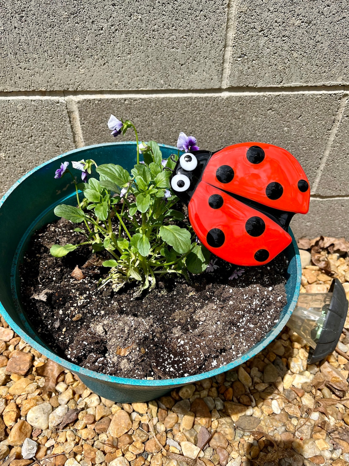 Fused Glass Ladybug Ladybug Fused Glass Garden Decoration Etsy