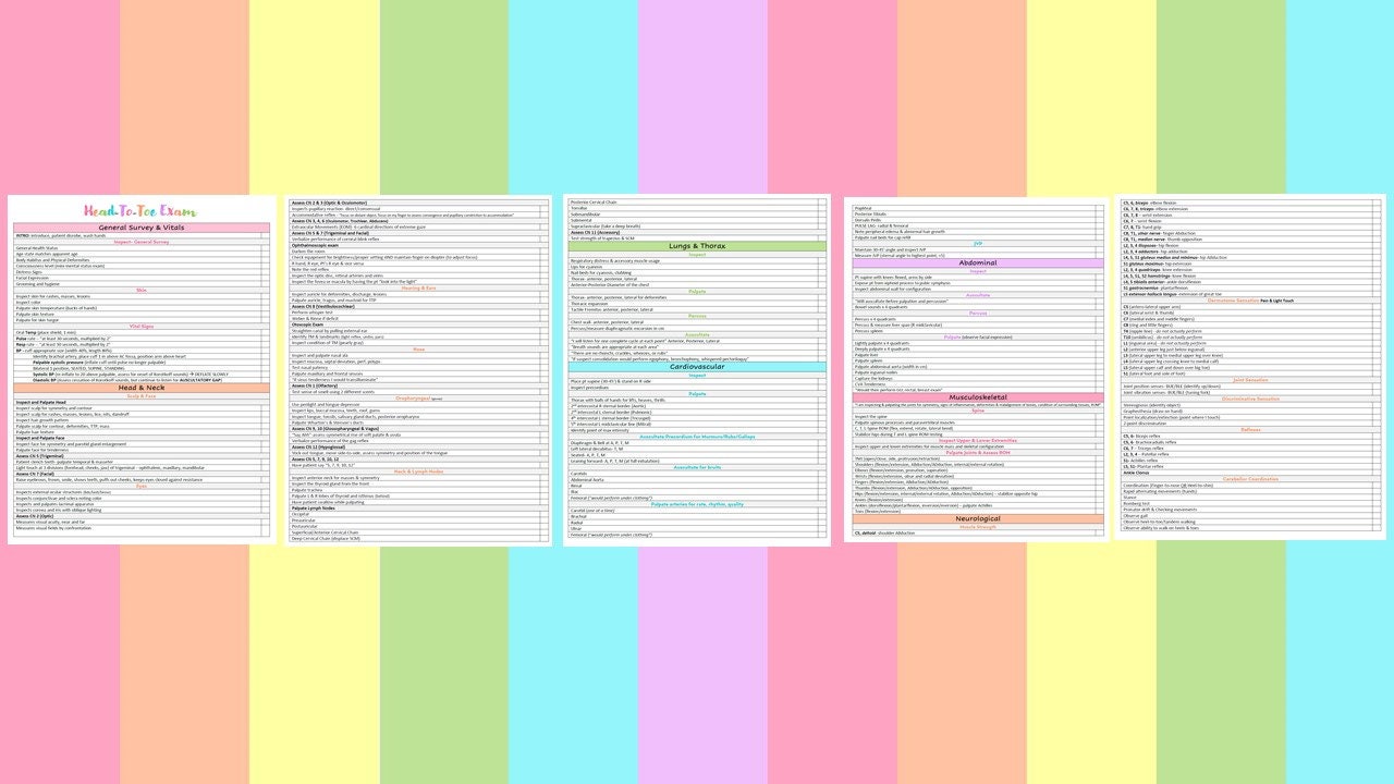 Head-to-toe Physical Exam Study Guide – Medical Student Notes (digital ...