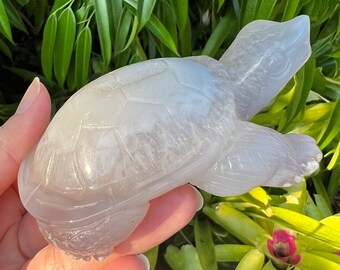 Druzy Agate Crystal Turtle Carving, Turtle Spirit Animal Totem, Druzy Crystal Centerpiece