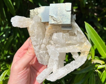 Rare Gorgeous Pyrite and Quartz Cluster