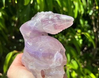 Fluorite Crystal Skull Carving Display Piece with Lizard Reptile