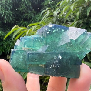 May include: A cluster of green fluorite crystals with a glassy, translucent appearance. The crystals are arranged in a pyramid shape, with sharp edges and points.