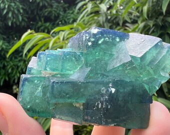 Green Cubic Fluorite Cluster