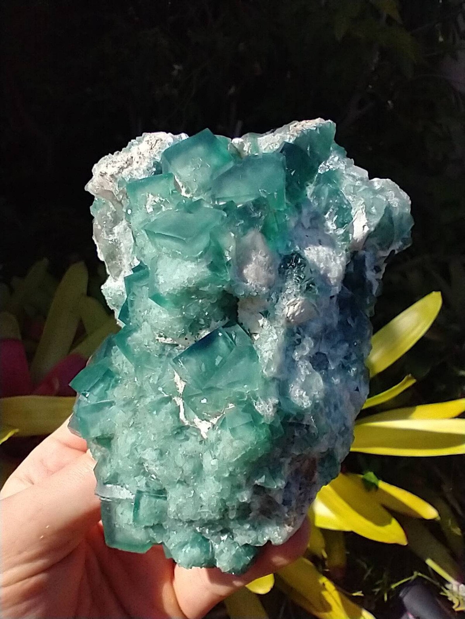 2.07 lbs Translucent Green Cubic Fluorite Raw Geode Crystal Etsy
