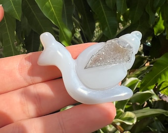 Druzy Agate Crystal Snail Carving: Healing Decor
