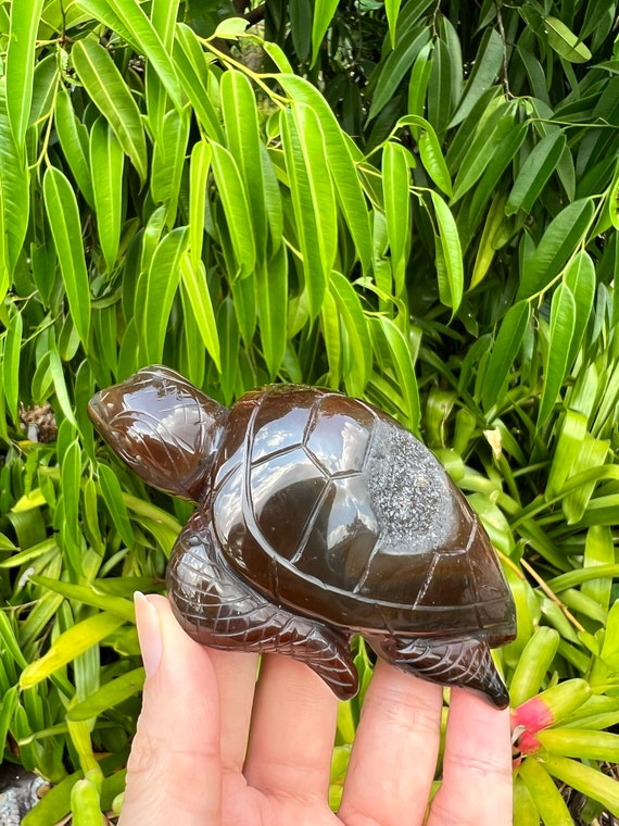 Druzy Agate Sea Turtles Druzy Agate Sea Turtles