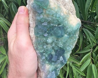 Large Raw Green Cubic Fluorite Cluster on Matrix, Mined Mineral Specimen