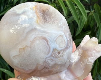 Druzy Flower Agate Crystal Snail Carving, Snail Crystal Gift