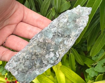 Unique Translucent Blue Green Fluorite Cluster with Druzy