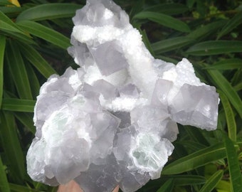 Huge Gorgeous Lavender Purple and Green Fluorite on White Quartz Crystal Matrix, Huge Fluorite Crystal Centerpiece
