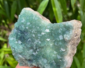 Beautiful Green Cubic Fluorite Cluster on Matrix, mineral specimen