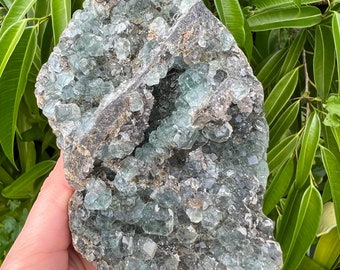 Gorgeous Sparkling Translucent Baby Blue Green Fluorite Cluster with Druzy Smokey Quartz