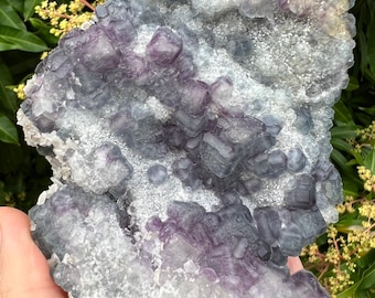 Purple, Blue and Clear Fluorite with White Quartz and Golden Flake Calcite, Rare Morandi Geometric Rainbow Fluorite Cluster, Mineral Gift