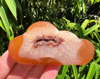 Carnelian Agate Cloud with Druzy Pocket, Carnelian Palm Stone, Heart Reiki, Self Standing Red Orange Chalcedony