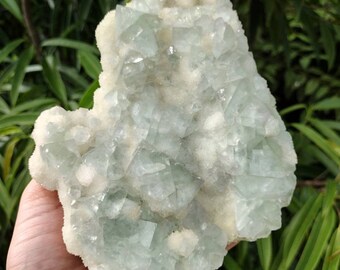 Large Light Green Cubic Fluorite Cluster with Quartz, Crystal Centerpiece, Mineral Display Specimen Crystal Decor