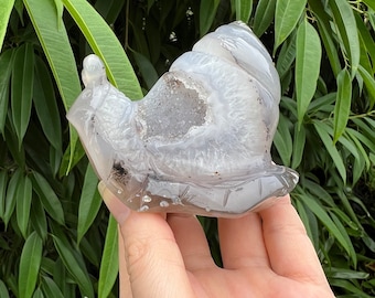 Druzy Agate Crystal Snail Carving: Healing Stone Decor