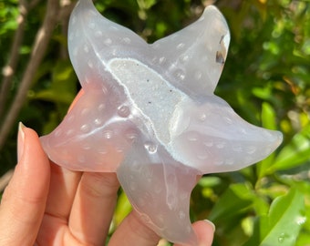 Druzy Agate Starfish Carving, Beach and Ocean Lover Crystal Gift