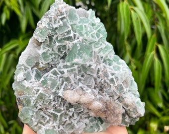 Large Sugar Green Fluorite Cluster with Display Stand