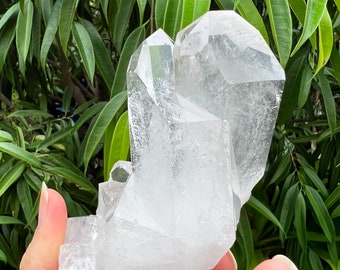 Twin Point Quartz Crystal Cluster, Natural Mined Crystal Quartz, Reiki