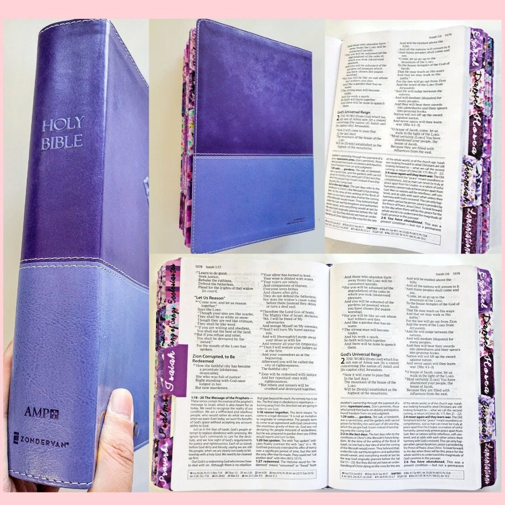 KJV, And AMPC Classic Amplified Parallel Bible ~Used Bible