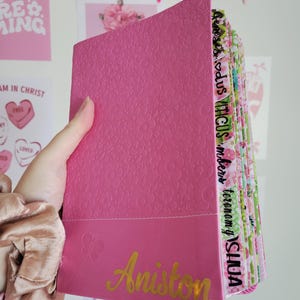 Personalized Pink Adventure Bible NIrV for Early Readers