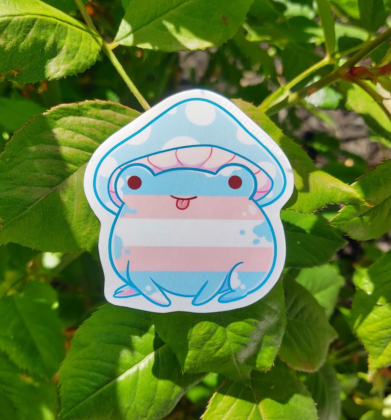 Pride Frog Charity Stickers LGBTQ Flag Frog Gay Pride Etsy