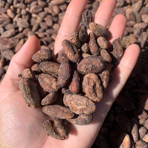 1lb Dried Hawaiian Cacao Beans (Hawaii Grown)