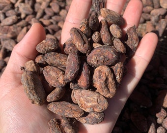 Dried Hawaiian Cacao Beans (Hawaii Grown)