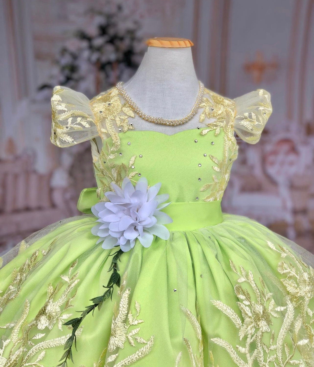 18+ Diy Princess Tiana Costume