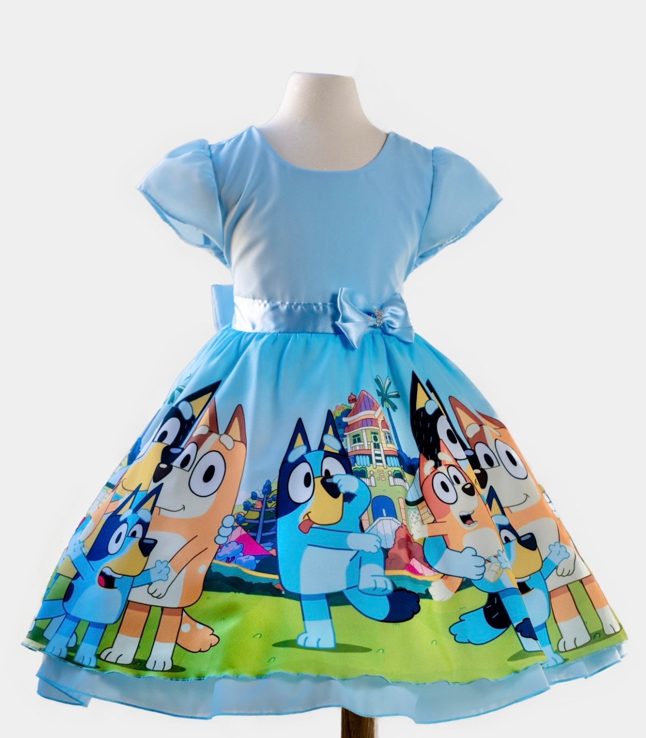 BL05 - Bluey and Bingo Birthday Custom Rainbow Fancy Tutu Outfit