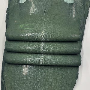 Groene pijlstaartrogleer huid vis Natuurlijk, gepolijst oppervlak, voor armbanden chokers portemonnees portemonnees horlogebandje luxueus