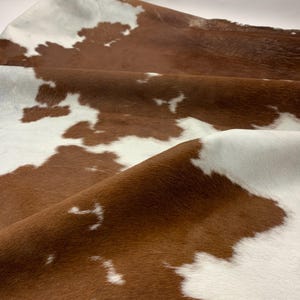 Peut inclure: Gros plan sur un tapis en peau de vache avec un motif marron et blanc. La peau naturelle a une texture douce et un design unique. Le tapis est plié, montrant le dessous et les variations naturelles du matériau.