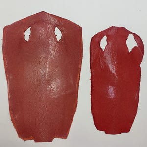 Könnte beinhalten: Zwei Stücke rotes Leder, möglicherweise von einem Stachelrochen, werden vor einem weißen Hintergrund gezeigt. Das größere Stück hat eine schildartige Form mit zwei augenförmigen Löchern oben. Das kleinere Stück ist ähnlich, aber länglicher.