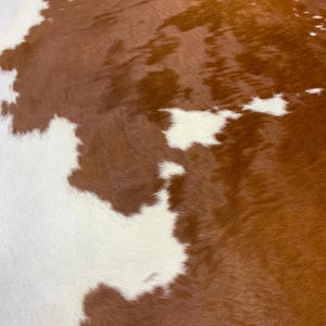 Peut inclure: Gros plan sur un tapis en peau de vache avec un motif naturel. Le tapis présente un mélange de taches marron et blanches, créant une esthétique unique et rustique. La texture de la peau est visible, ajoutant de la profondeur et du caractère au design.
