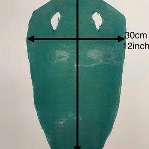 Grün Türkis Stingray Haut verstecken Fischhaut Naturleder, polierte Oberfläche, für Armbänder Halsketten Brieftaschen Geldbörsen Uhr Armband luxuriös Bild 8