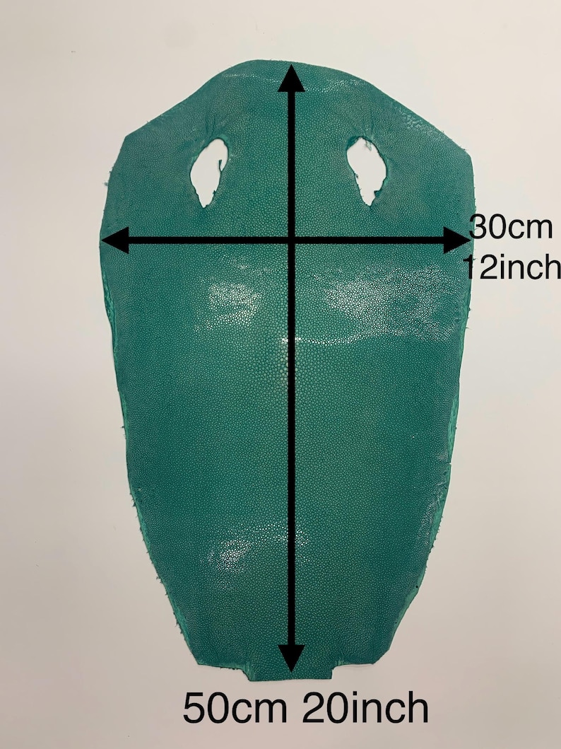 Grün Türkis Stingray Haut verstecken Fischhaut Naturleder, polierte Oberfläche, für Armbänder Halsketten Brieftaschen Geldbörsen Uhr Armband luxuriös Bild 8